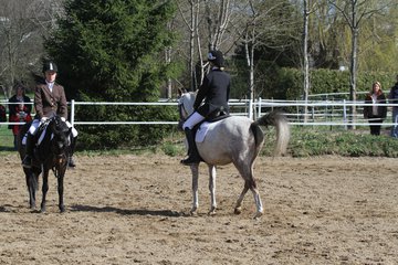 Bild 271 - WBO-Turnier am 9.4.11